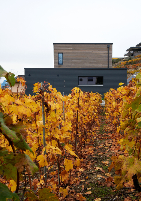 Maison solaire Minergie-P en Valais