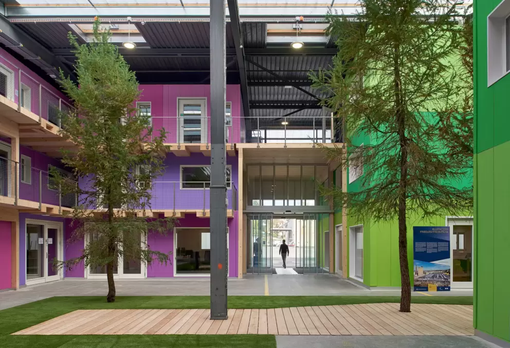 La halle bleue de Bluefactory: exemple de construction modulaire en bois