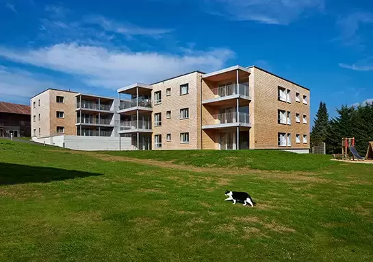 Deux immeubles écologiques Minergie-P-Eco à Riaz