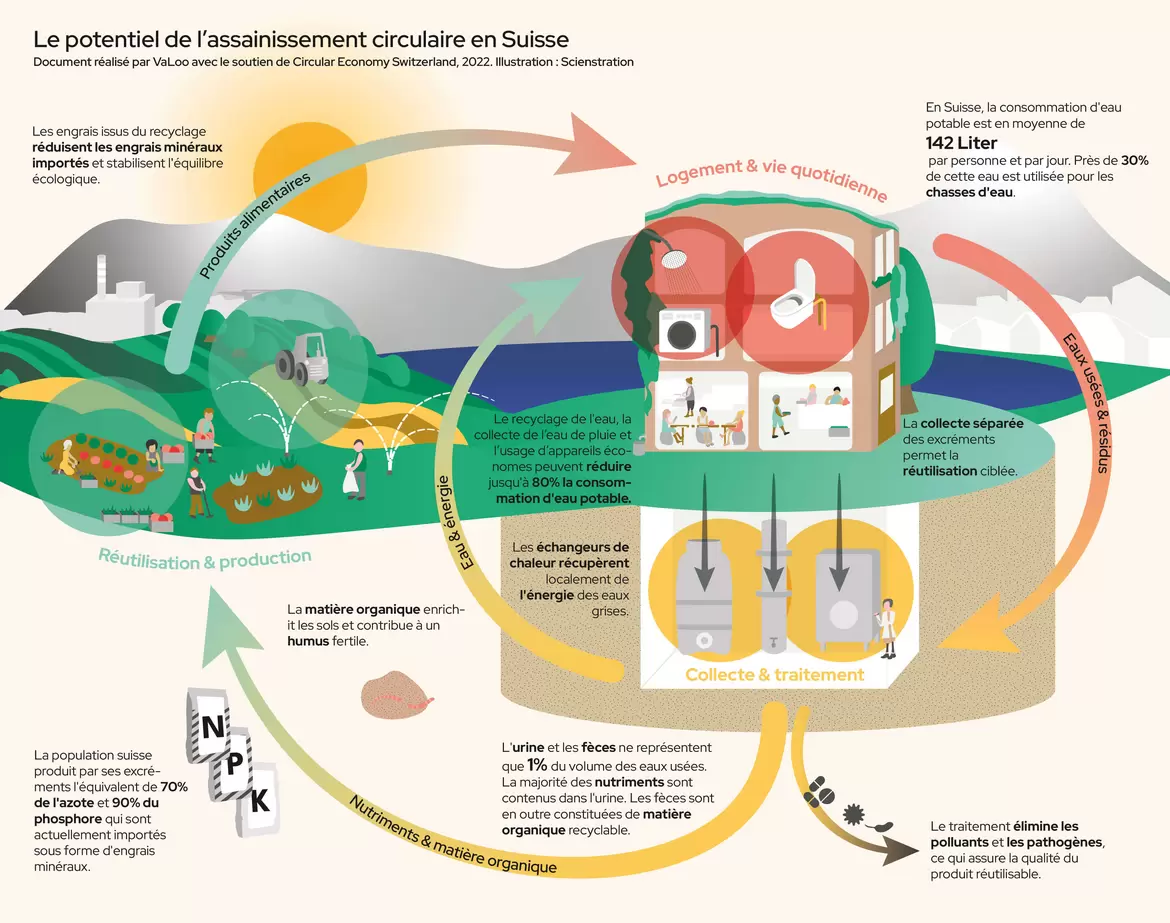 Schéma illustrant la gestion circulaire des eaux en Suisse