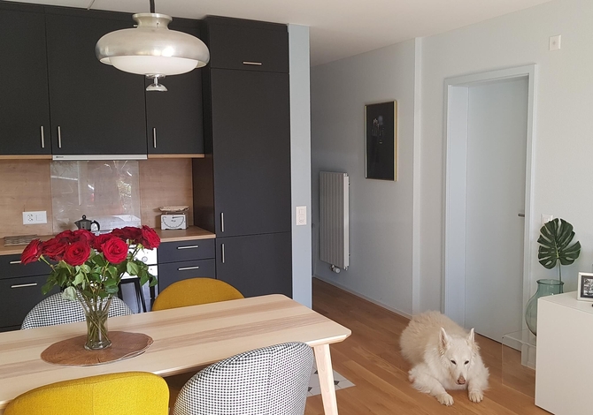 Transformation d'un garage en appartement
