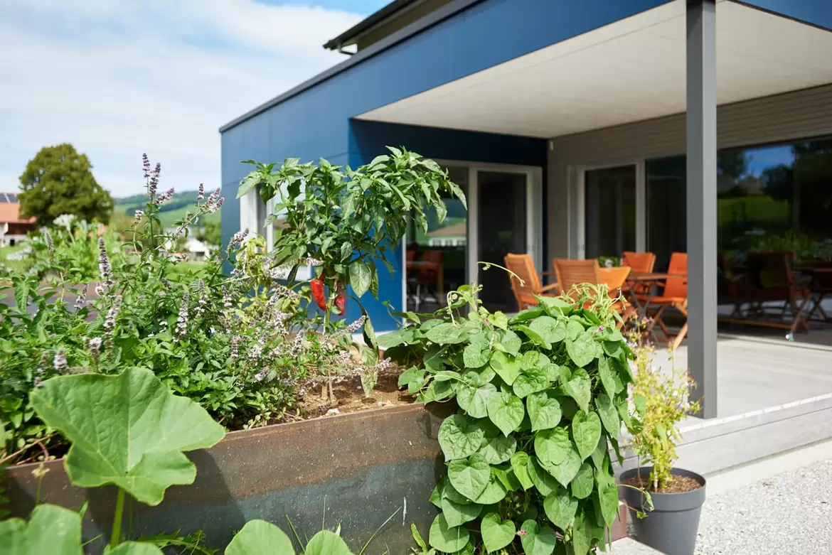 Amenagement-jardin-ecologique-3.jpg