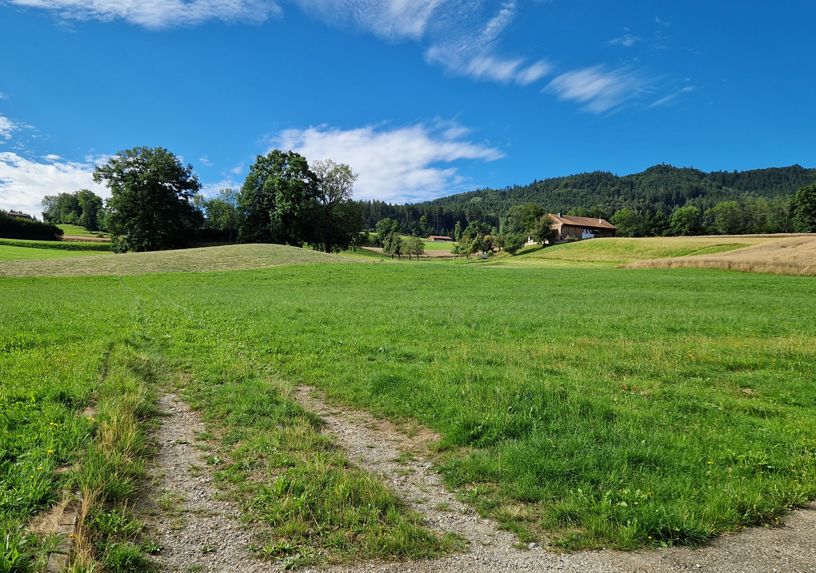 Construction d'une coopérative d'habitation à Vuisternens-en-Ogoz, Fribourg