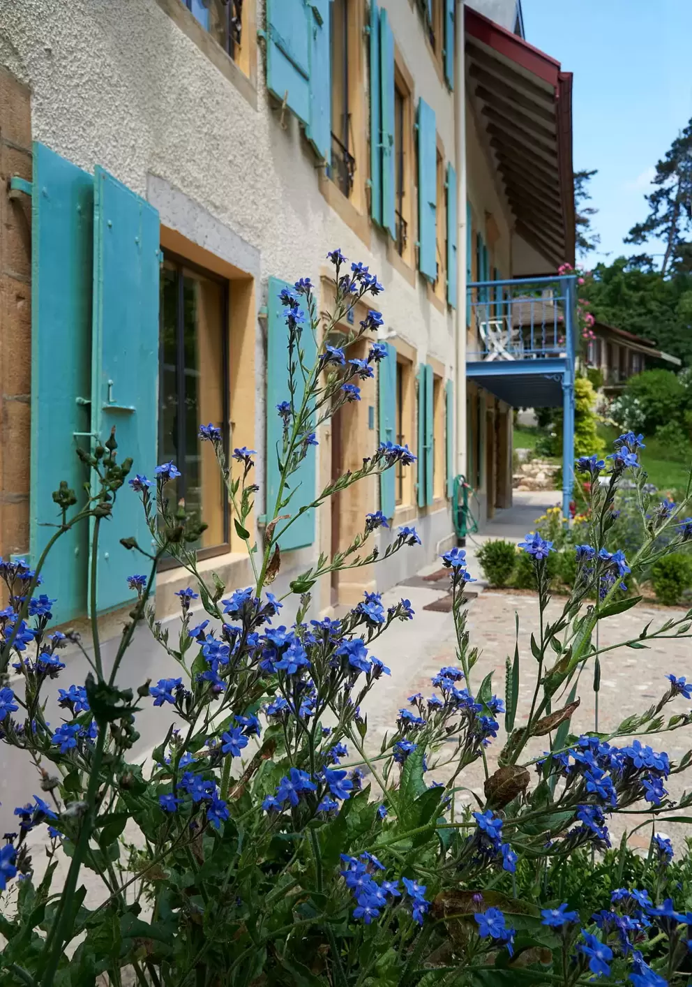 Il est possible d'allier efficience énergétique et protection du patrimoine: la preuve avec cette rénovation Minergie-Eco d'une bâtisse historique
