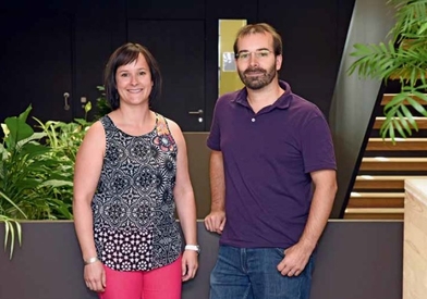 Les labels CECB dans la rénovation