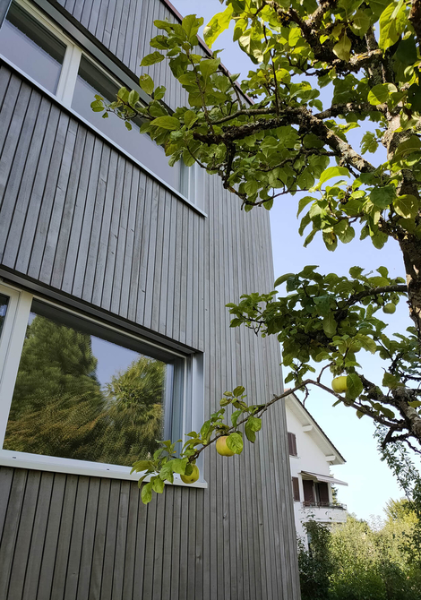 Rénovation d'un petit immeuble des années 50 à Fribourg avec agrandissement bois