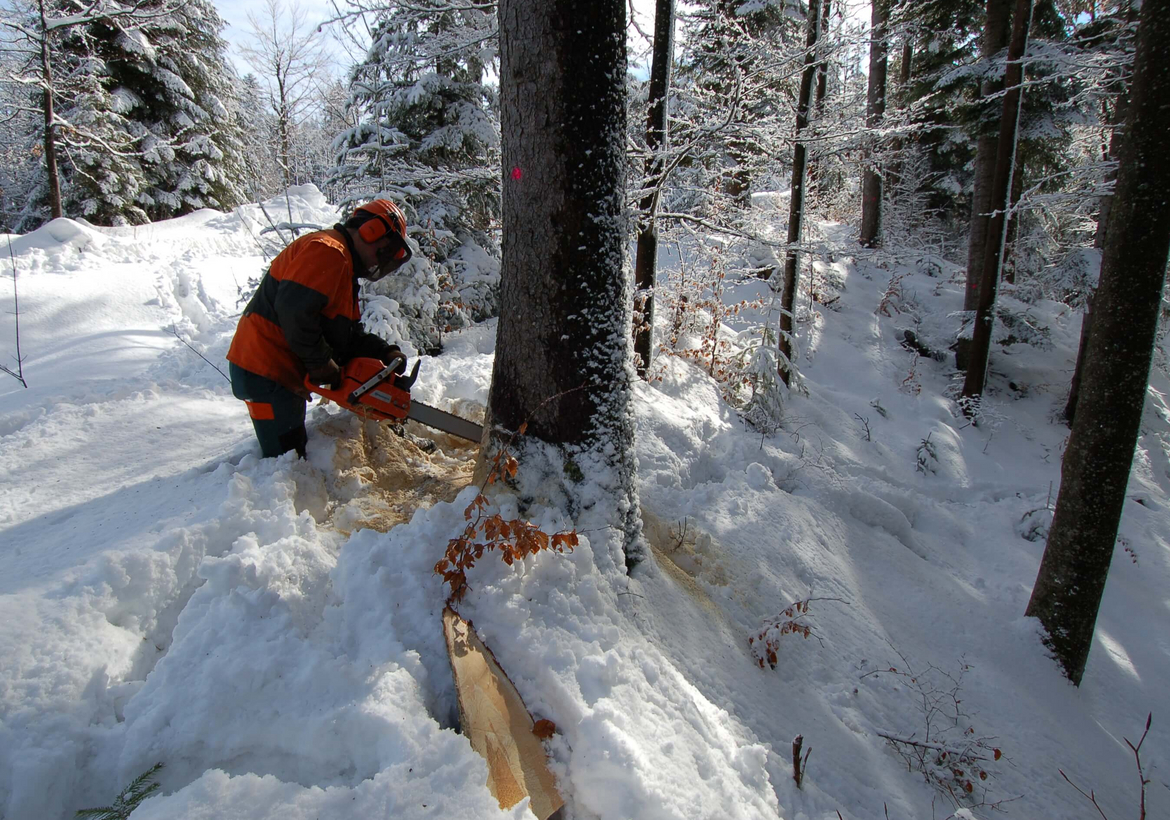 Construire en bois suisse pour réduire les émissions de carbone